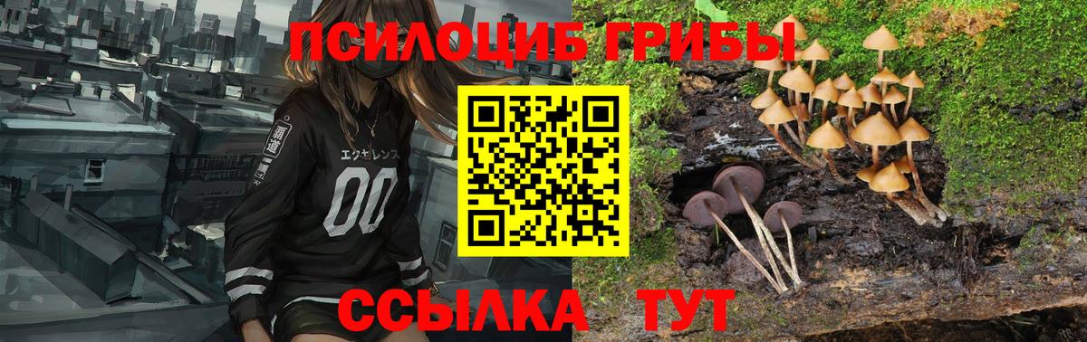 Псилоцибиновые грибы Magic Shrooms Красногорск