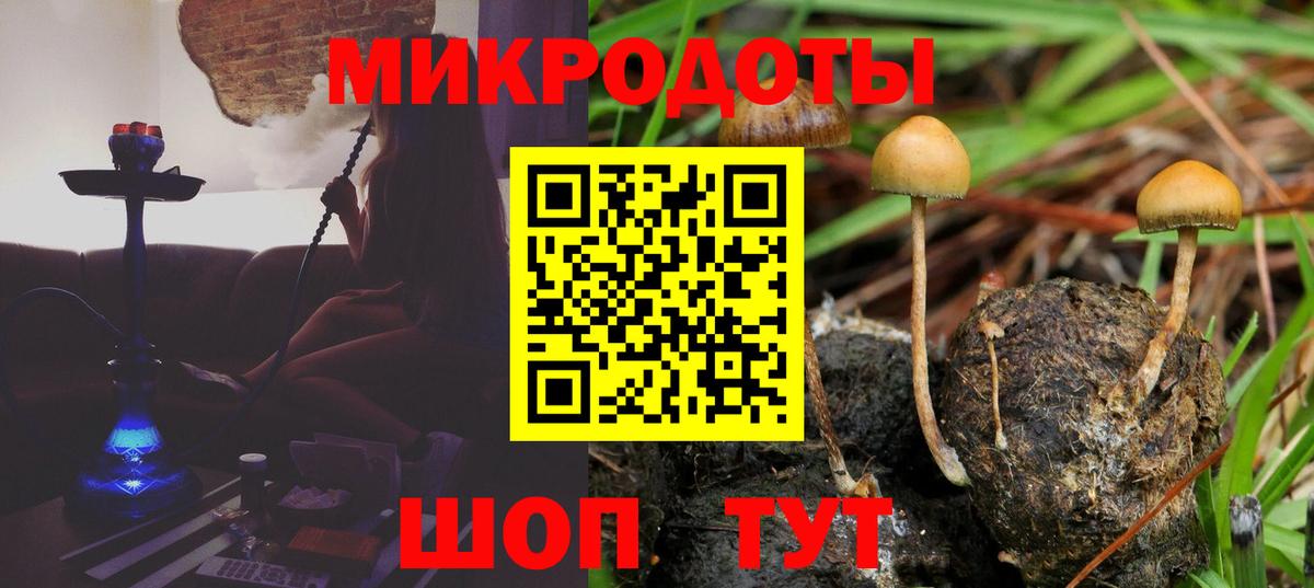 Красногорск  наркотики  Вход с VPN  Галлюциногенные грибы Cubensis 